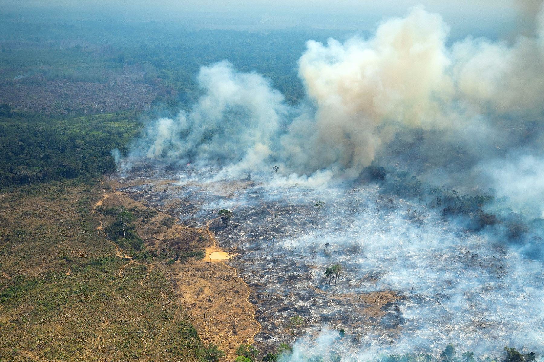 Alerta en Colombia por incendios forestales en la Amazonía y la Orinoquía. Foto: Efe.