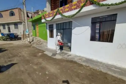 Áncash: ascienden a 67 los casos confirmados de dengue en Casma