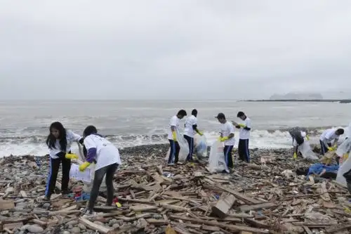 Foto: ANDINA/difusión.