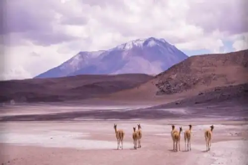 Los departamentos de posible afectación son: Arequipa, Ayacucho, Huancavelica, Ica, Moquegua, Puno y Tacna.