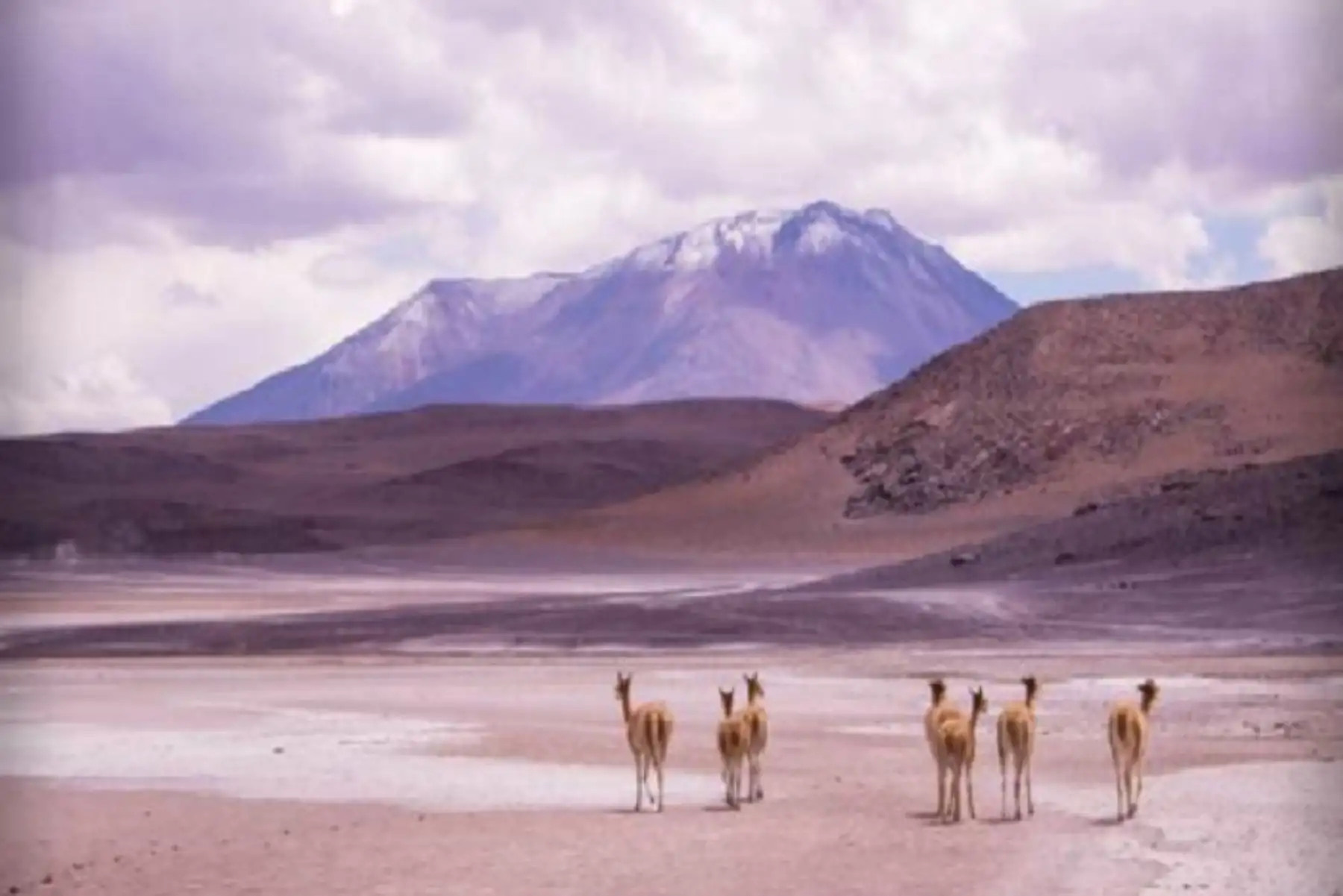 Los departamentos de posible afectación son: Arequipa, Ayacucho, Huancavelica, Ica, Moquegua, Puno y Tacna.