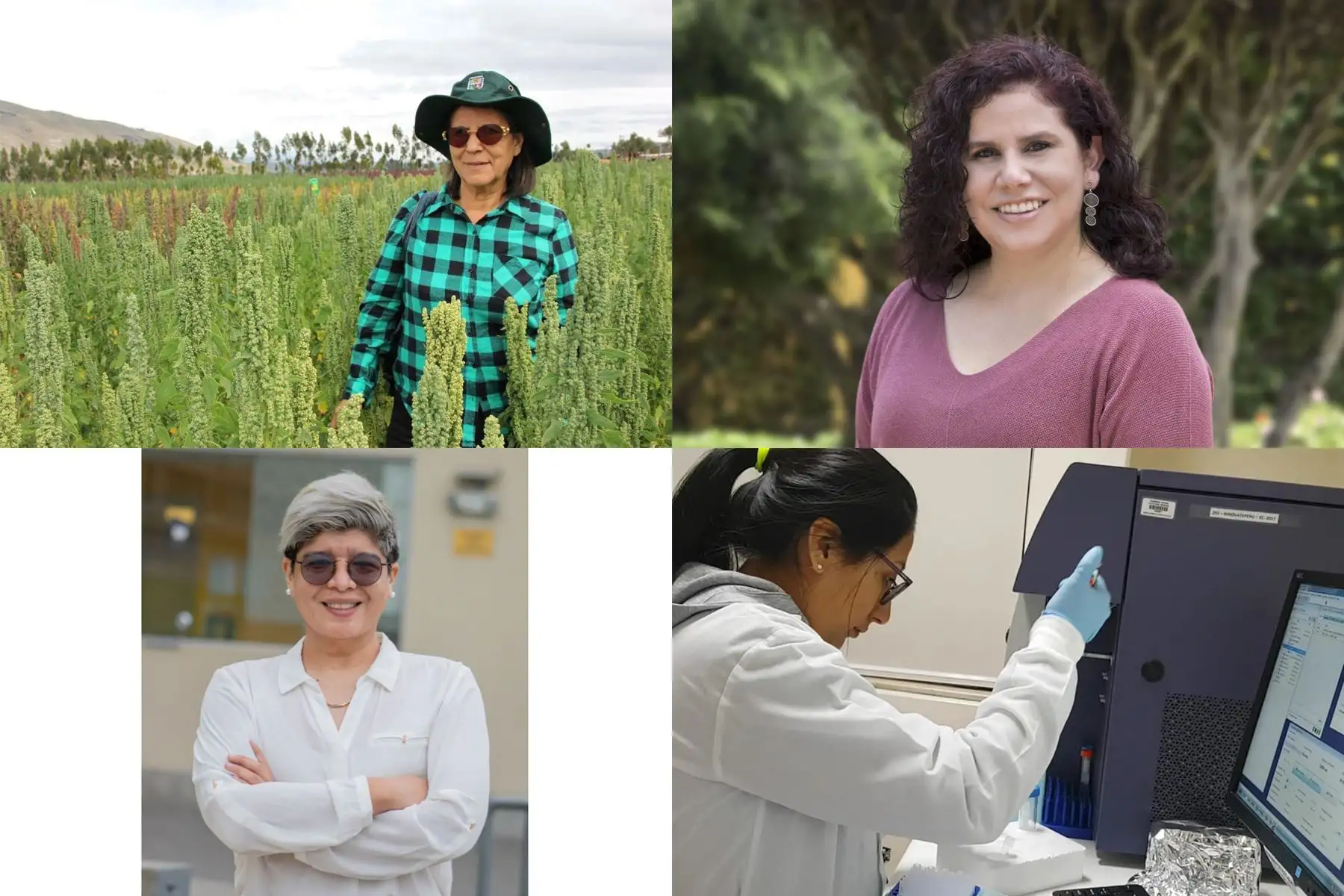 Científicas, ingenieras y astrónomas peruanas han recibido importantes reconocimientos a nivel nacional e internacional.