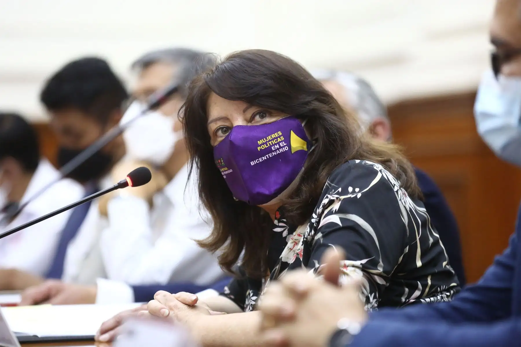 Ministra de la Mujer y Poblaciones Vulnerables, Diana Miloslavich participa en la conferencia de prensa.
Foto: PCM