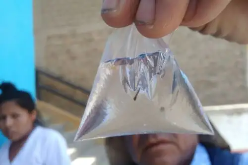 El zancudo "Aedes aegypti", que transmite el dengue, deposita sus huevos en lugares donde se almacena el agua y se reproduce con gran facilidad cuando aumenta la temperatura y las lluvias. Foto: ANDINA/Difusión