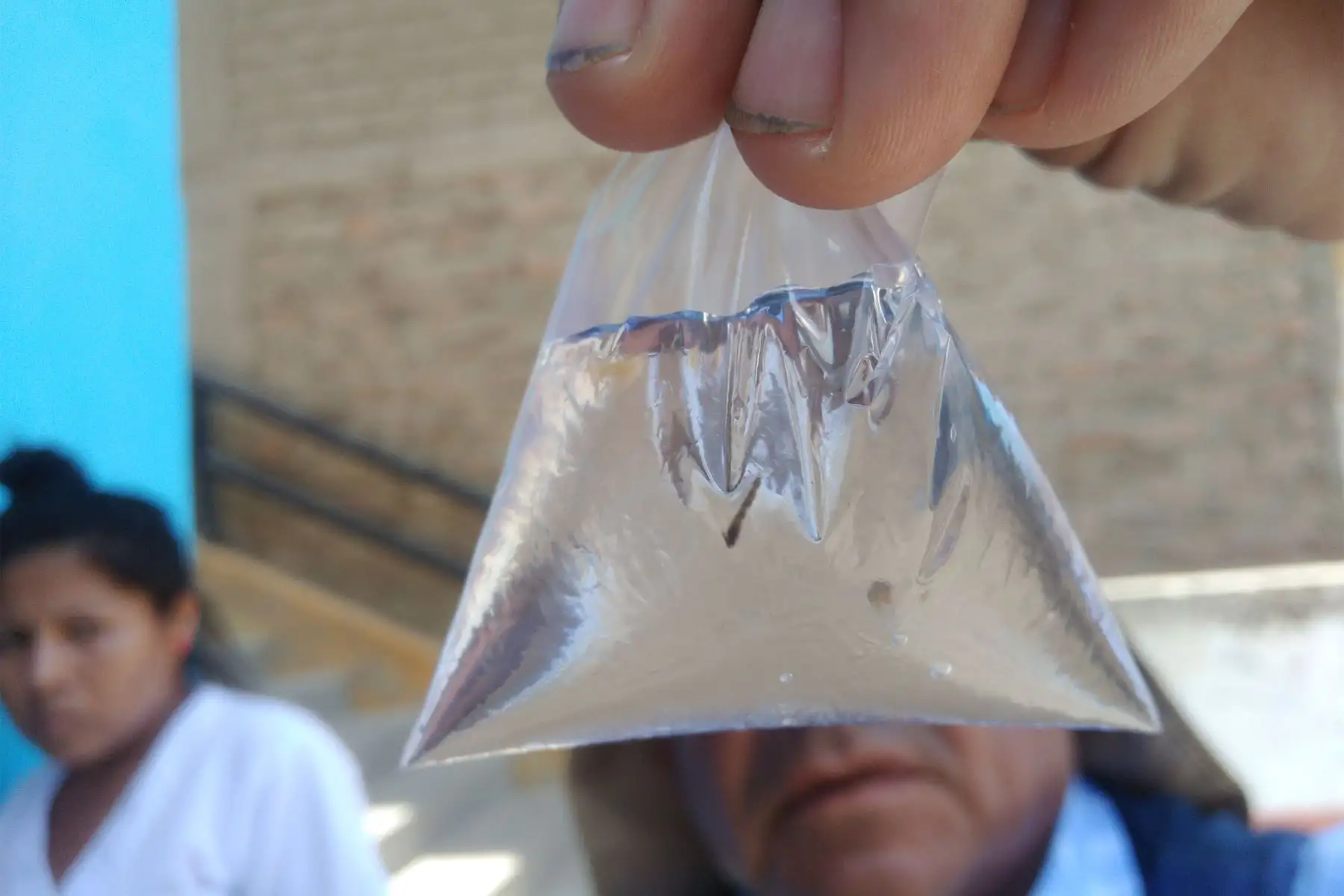 El zancudo "Aedes aegypti", que transmite el dengue, deposita sus huevos en lugares donde se almacena el agua y se reproduce con gran facilidad cuando aumenta la temperatura y las lluvias. Foto: ANDINA/Difusión