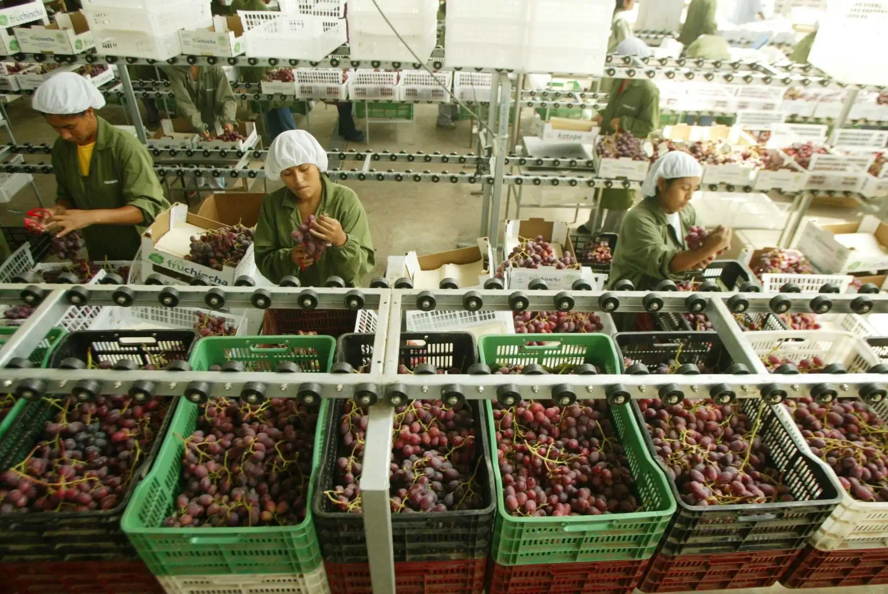 Número de empresas exportadoras se incrementa. Cortesía Adex