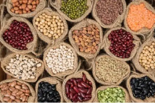 Hoy se celebra el Día Mundial de las Legumbres y cabe destacar que el territorio peruano es cuna de especies como el frijol, el pallar y el tarwi, entre otras que destacan por su notable aporte nutricional que contribuye a garantizar la seguridad alimentaria y fortalecer el sistema inmune del organismo para evitar y combatir con éxito la anemia, la desnutrición y muchas otras enfermedades. ANDINA/Difusión