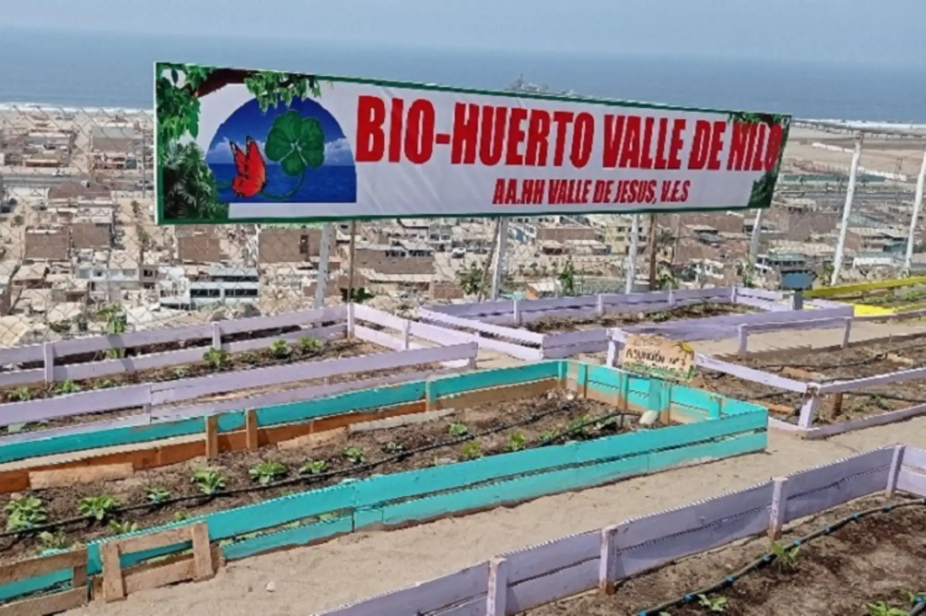 Biohuertos impulsados por Petroperú. Foto: cortesía.