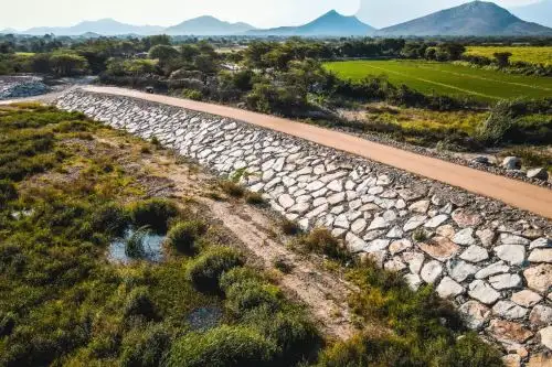 ANDINA/Difusión