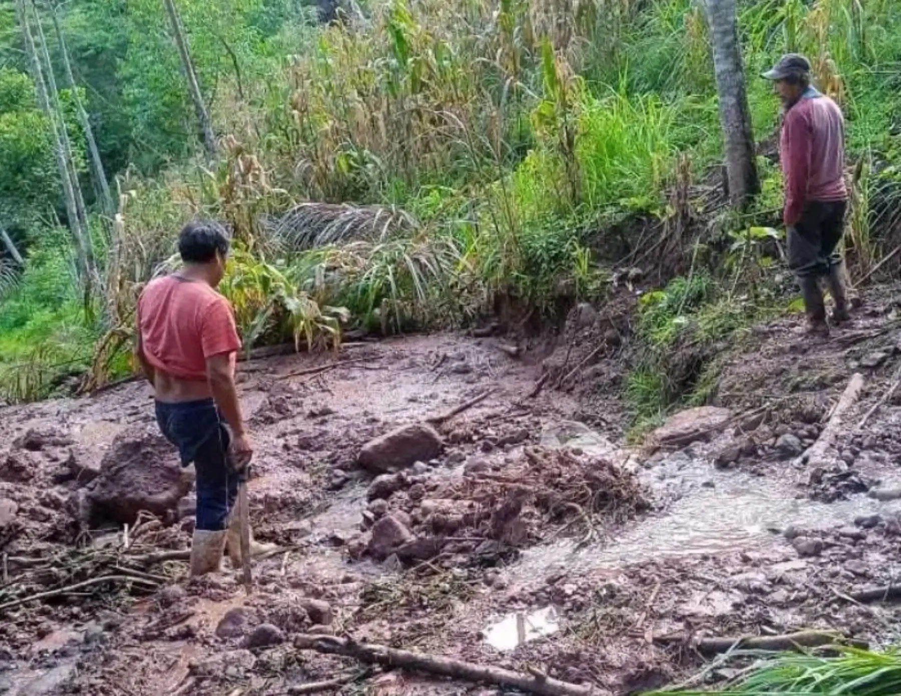 Lluvias intensas y deslizamiento de piedras y lodo caen sobre carretera y dejan aislado al distrito de Villa Rica, provincia de Oxapampa, región Pasco. Foto: ANDINA/difusión.