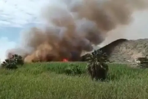 Un incendio forestal ocurrido en el centro poblado La Capilla, distrito de Samanco, en la provincia ancashina del Santa, arrasó con 1,5 hectáreas de cobertura vegetal y también dejó un bombero herido; reportó el Centro de Operaciones de Emergencia Regional.