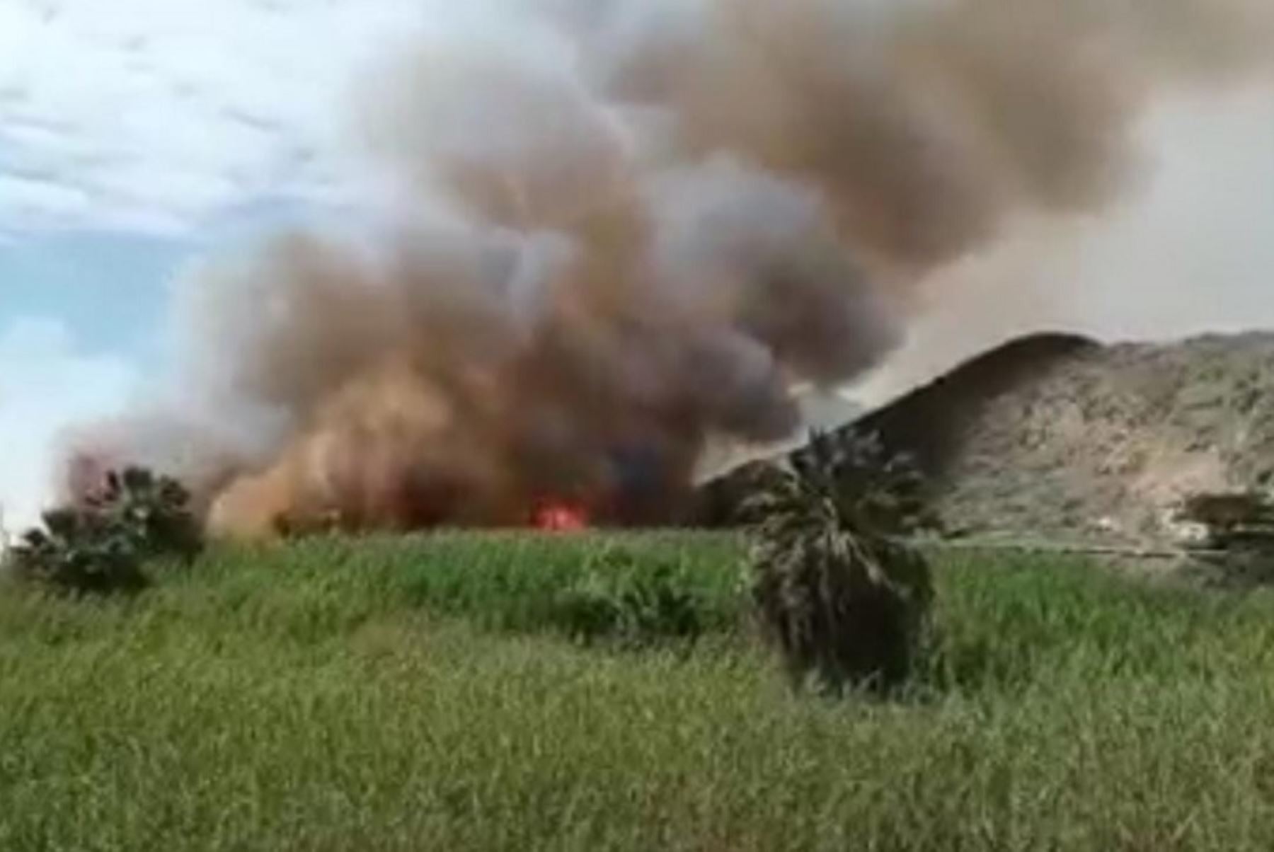 Un incendio forestal ocurrido en el centro poblado La Capilla, distrito de Samanco, en la provincia ancashina del Santa, arrasó con 1,5 hectáreas de cobertura vegetal y también dejó un bombero herido; reportó el Centro de Operaciones de Emergencia Regional.