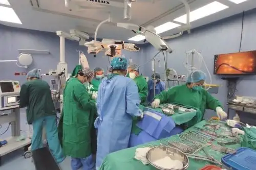 Trasplante de corazón: médicos del Rebagliati son capacitados en técnicas quirúrgicas. Foto: ANDINA/archivo.