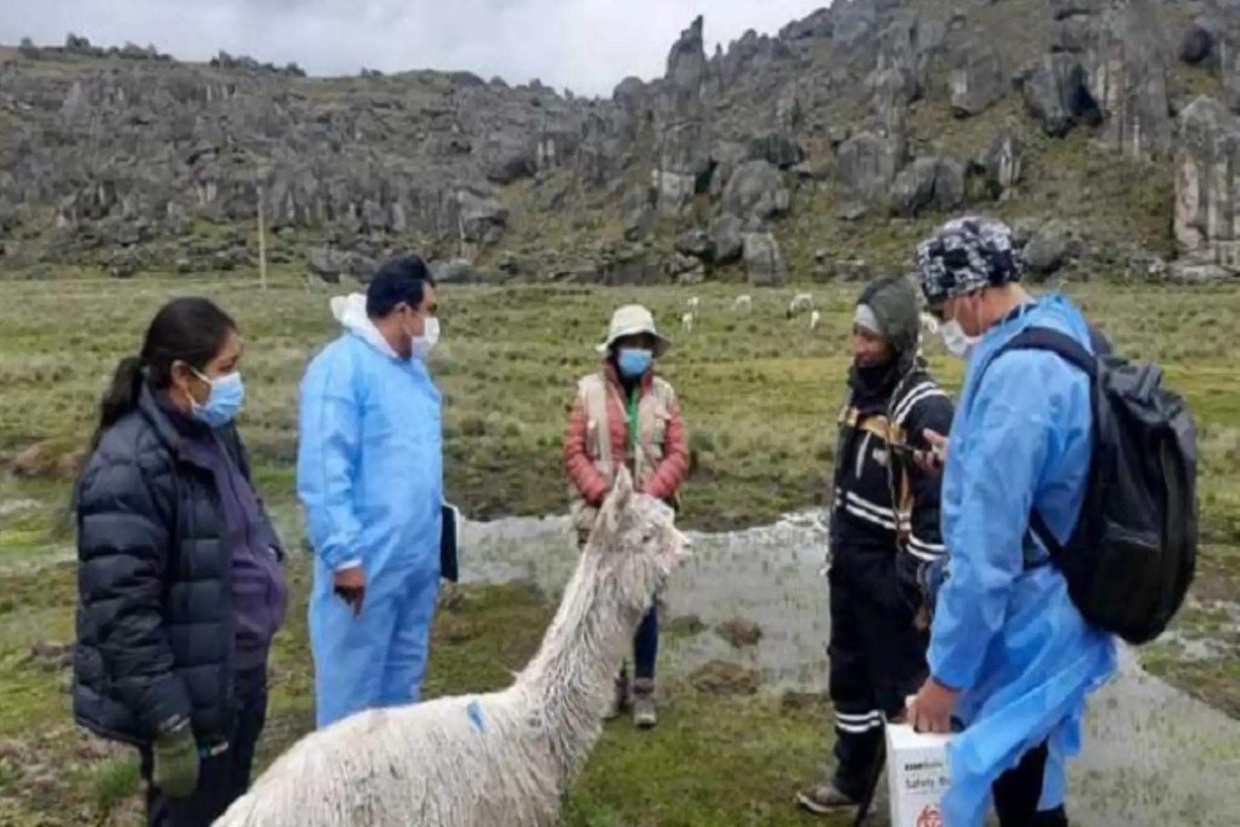 Durante la campaña territorial de sensibilización en localidades y cuencas, los gestores interculturales también realizarán acciones de sensibilización enmarcadas en mensajes para la vacunación de los niños y niñas de 5 a 11 años y la importancia de completar las dosis en otros grupos etarios,