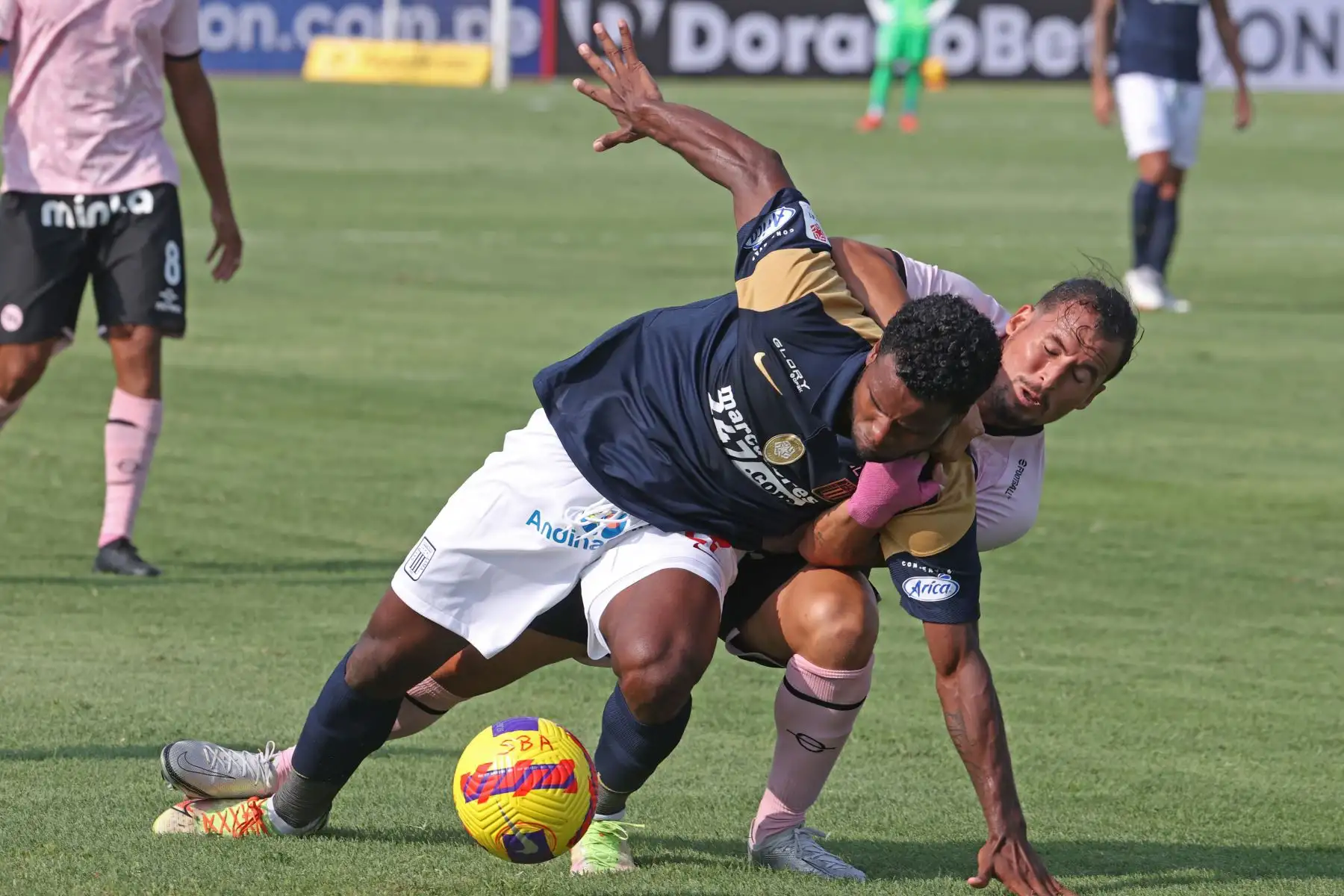 Alianza Lima y  Sport Boys se enfrentan por la segunda fecha de la Liga 1 en el Miguel Grau del Callao. Foto: Liga 1
Foto: ANDINA/Vidal Tarqui