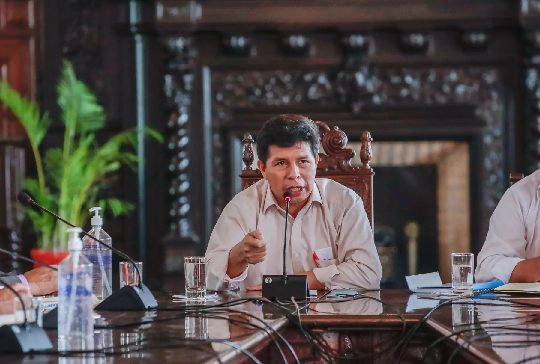 Presidente Pedro Castillo sostiene una reunión de trabajo con representantes médicos de distintas regiones. Foto: ANDINA/Prensa Presidencia