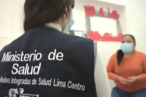 Sobrevivientes de violencia son atendidos de manera gratuita por el Minsa. Foto: ANDINA/Difusión.