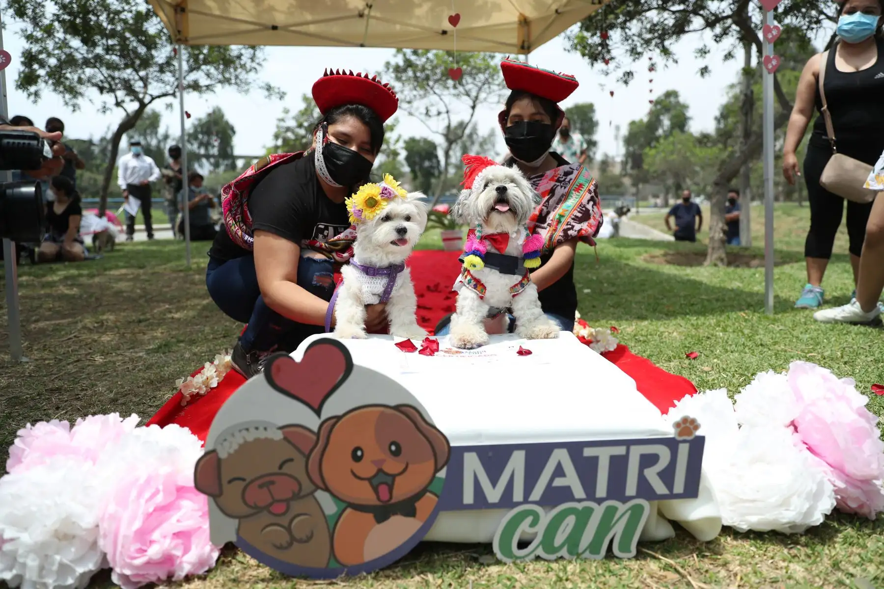 Las parejitas caninas fueron vestidos de manera alusiva a la romántica celebración. Caminaron por la alfombra roja junto con sus dueños que los llevaron al altar, luego pasaron a sellar su unión firmando con su huellita en el certificado de matrimonio.
Foto: ANDINA/Carla Patiño Ramírez