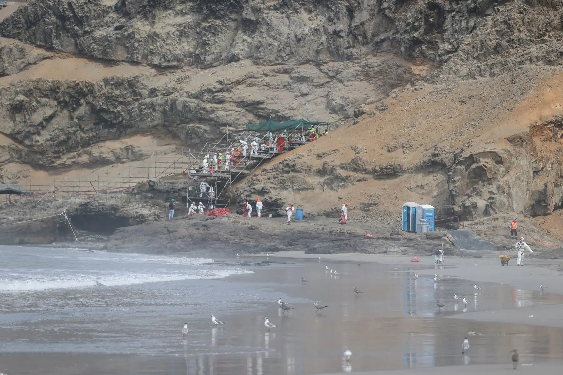 A casi un mes del derrame la Defensoría del Pueblo llevó a cabo una supervisión  en la playa Cavero del distrito de  Ventanilla  con el objetivo de verificar los avances en los procesos de remediación de las zonas afectadas.
Foto: ANDINA/Andrés Valle
