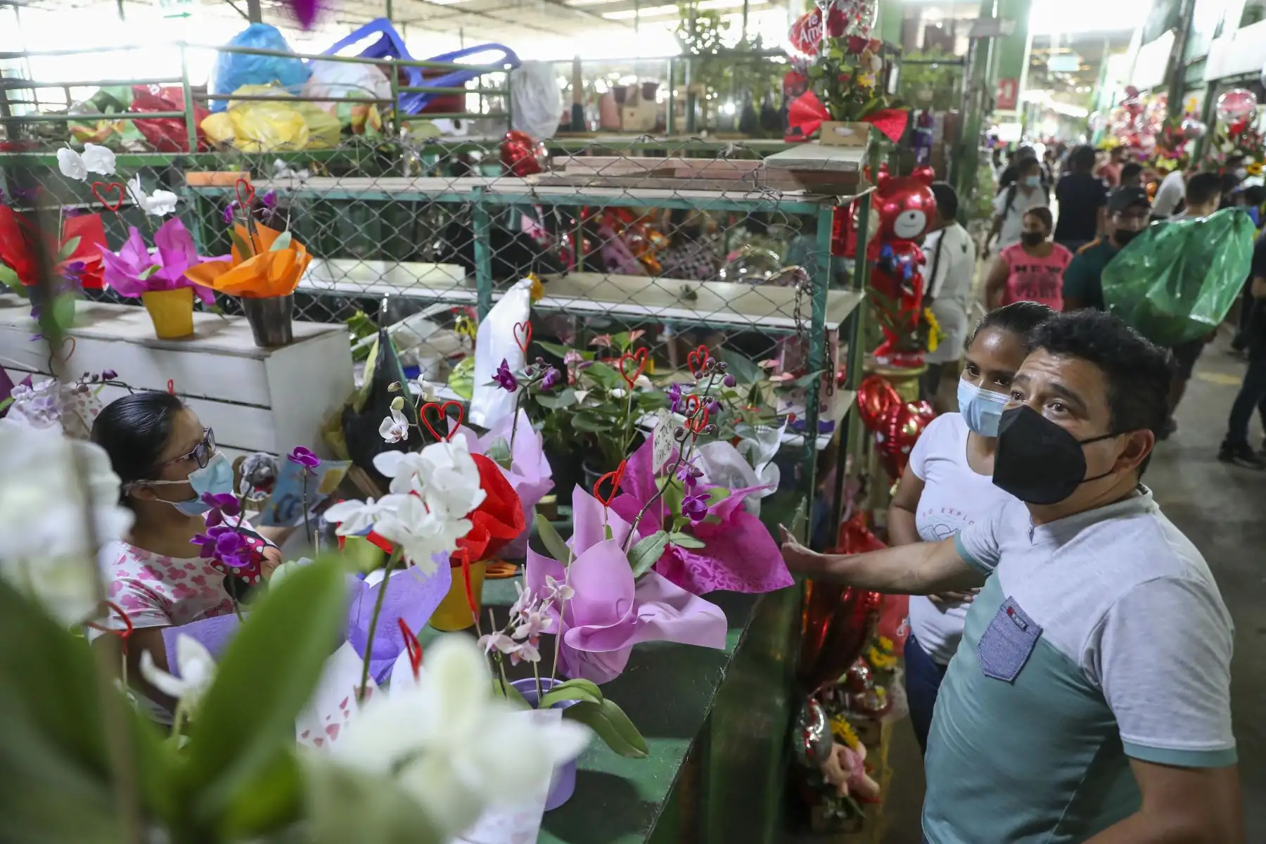 El mercado de Flores ubicado en la zona de Piedra Liza, en el Rímac tuvo gran afluencia del público, quienes compraban arreglos florales, rosas, girasoles o peluches para celebrar el Día del Amor y de la Amistad.
Foto: ANDINA/Carla Patiño Ramírez