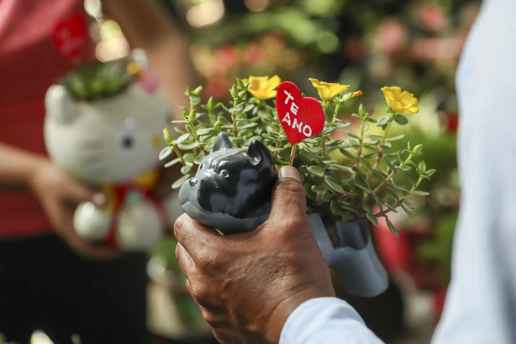 El mercado de Flores ubicado en la zona de Piedra Liza, en el Rímac tuvo gran afluencia del público, quienes compraban arreglos florales, rosas, girasoles o peluches para celebrar el Día del Amor y de la Amistad.
Foto: ANDINA/Carla Patiño Ramírez