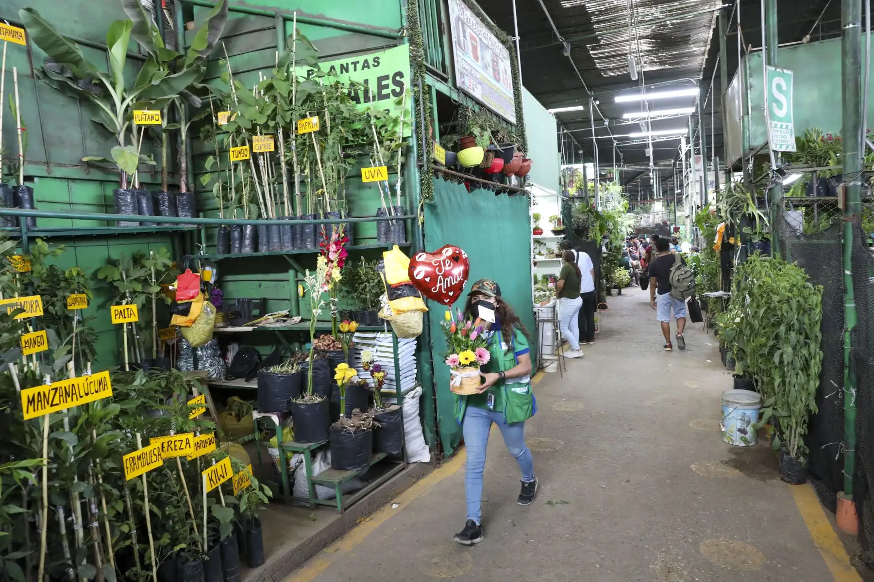 El mercado de Flores ubicado en la zona de Piedra Liza, en el Rímac tuvo gran afluencia del público, quienes compraban arreglos florales, rosas, girasoles o peluches para celebrar el Día del Amor y de la Amistad.
Foto: ANDINA/Carla Patiño Ramírez