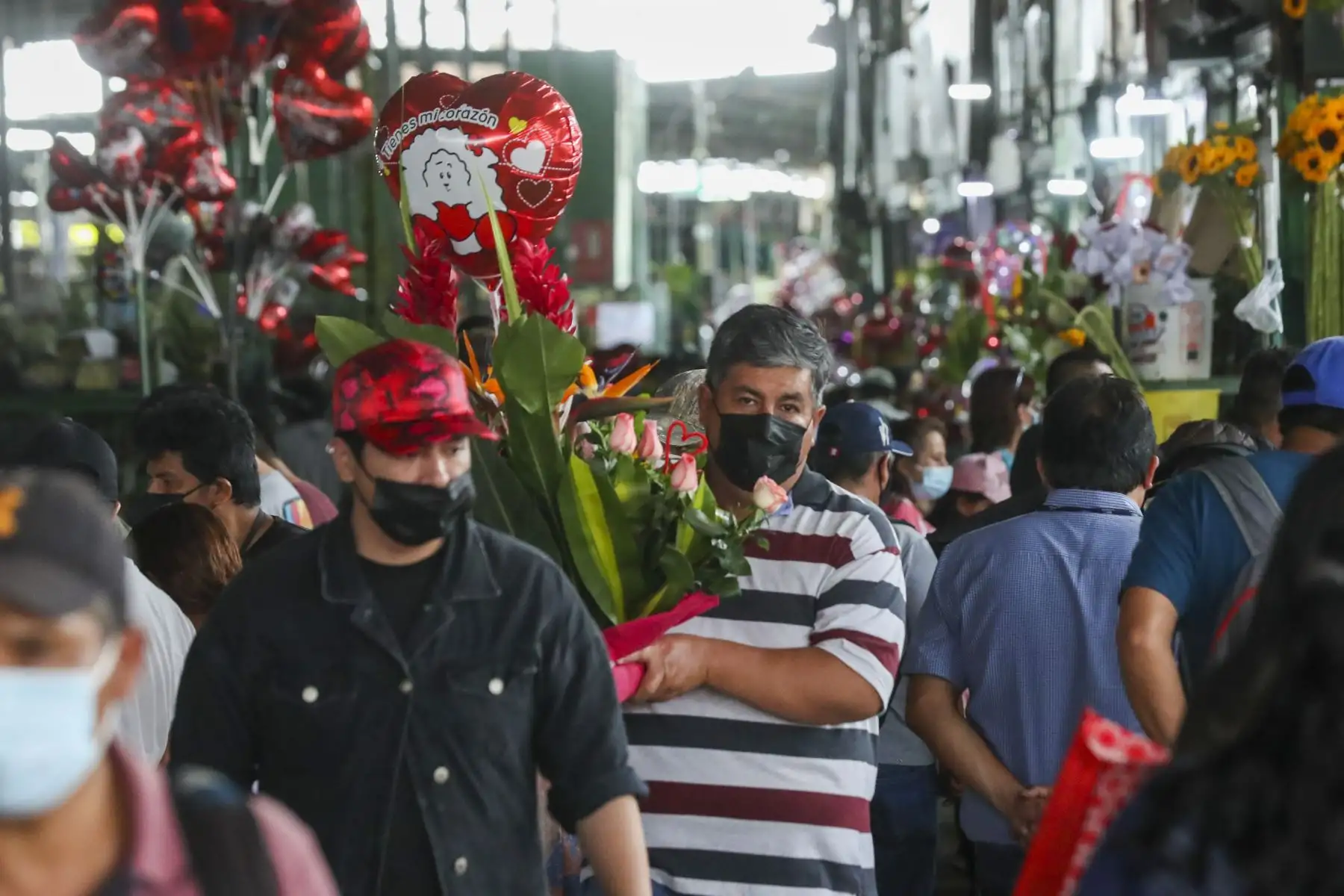 El mercado de Flores ubicado en la zona de Piedra Liza, en el Rímac tuvo gran afluencia del público, quienes compraban arreglos florales, rosas, girasoles o peluches para celebrar el Día del Amor y de la Amistad.
Foto: ANDINA/Carla Patiño Ramírez