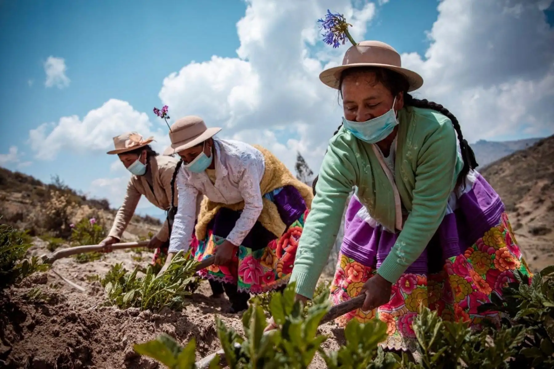 Agricultura