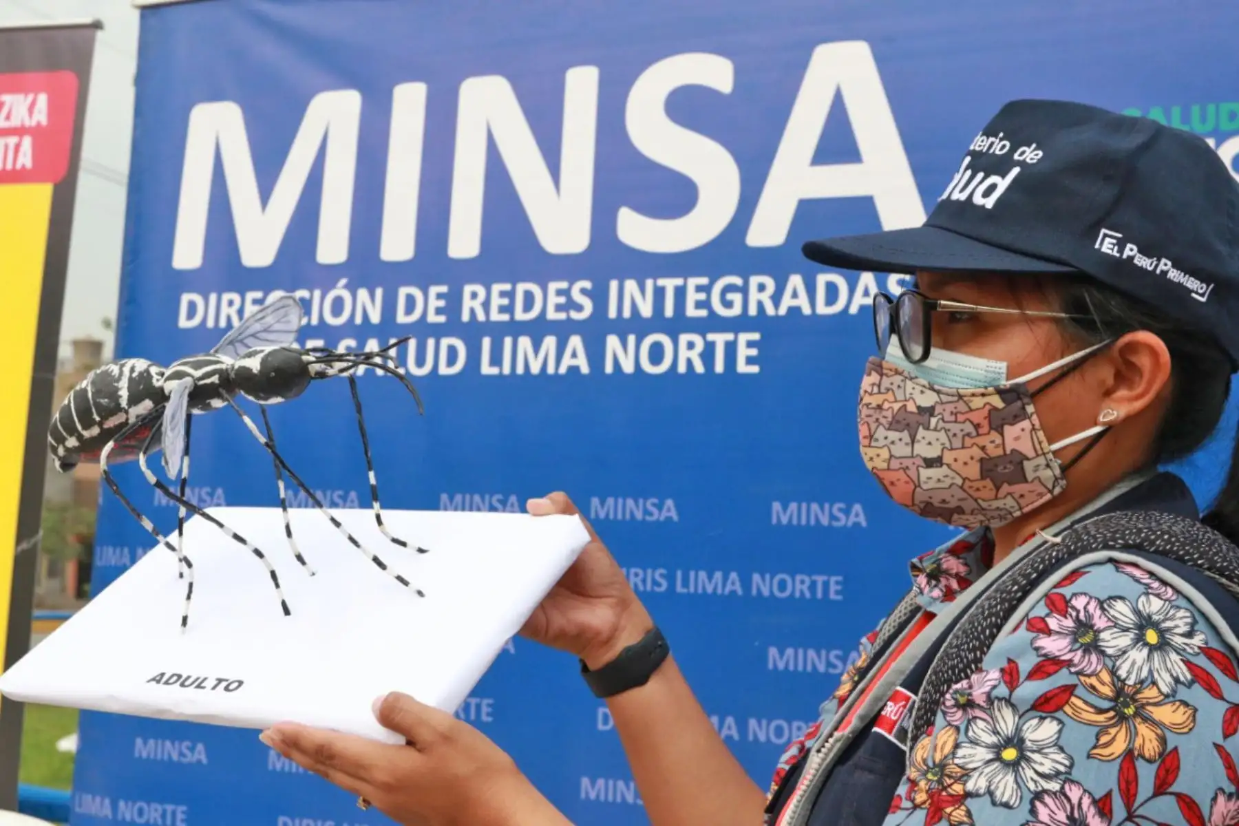 Minsa lanza plan de acción de vigilancia y control para la prevención del dengue, zika y chikungunya en Lima Norte, para desplegar un plan de vigilancia y control contra el dengue, zika y chikungunya. Foto: ANDINA/ Héctor Vinces