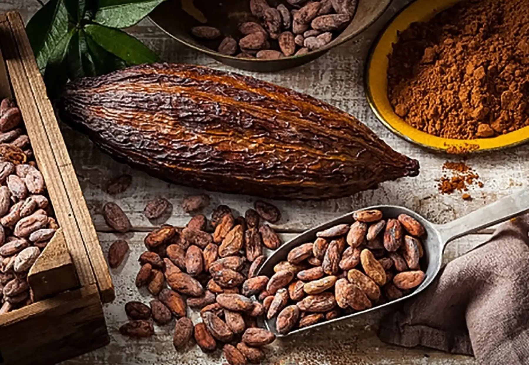 Identificar y caracterizar las propiedades y valores nutricionales de las harinas elaboradas a partir de los residuos del cacao peruano fue el objetivo de la investigación desarrollada por Gabriel Vargas, jefe del Laboratorio de Química de Productos Naturales del Instituto de Investigaciones de la Amazonía Peruana (IIAP). ANDINA/Difusión