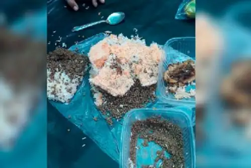 Trujillo: detectan en penal de varones sustancias prohibida mezclada con alimentos