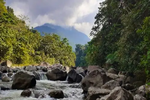En la Biósfera Avireri-Vraem hay 115 especies de fauna en peligro de extinción, 252 especies de fauna endémica y 307 especies de flora endémica y en peligro de extinción.