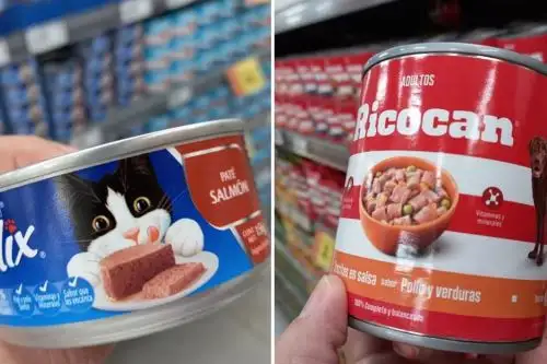 Mientras no cumplan con la modificación, deberán retirar del mercado los productos “Félix Paté Salmón Completo y Balanceado” de 156 gr., “Ricocan Cordero (Húmedo)” de 170 gr. y “Ricocan Trocitos en salsa con Pollo y Verduras” de 330 gr.
