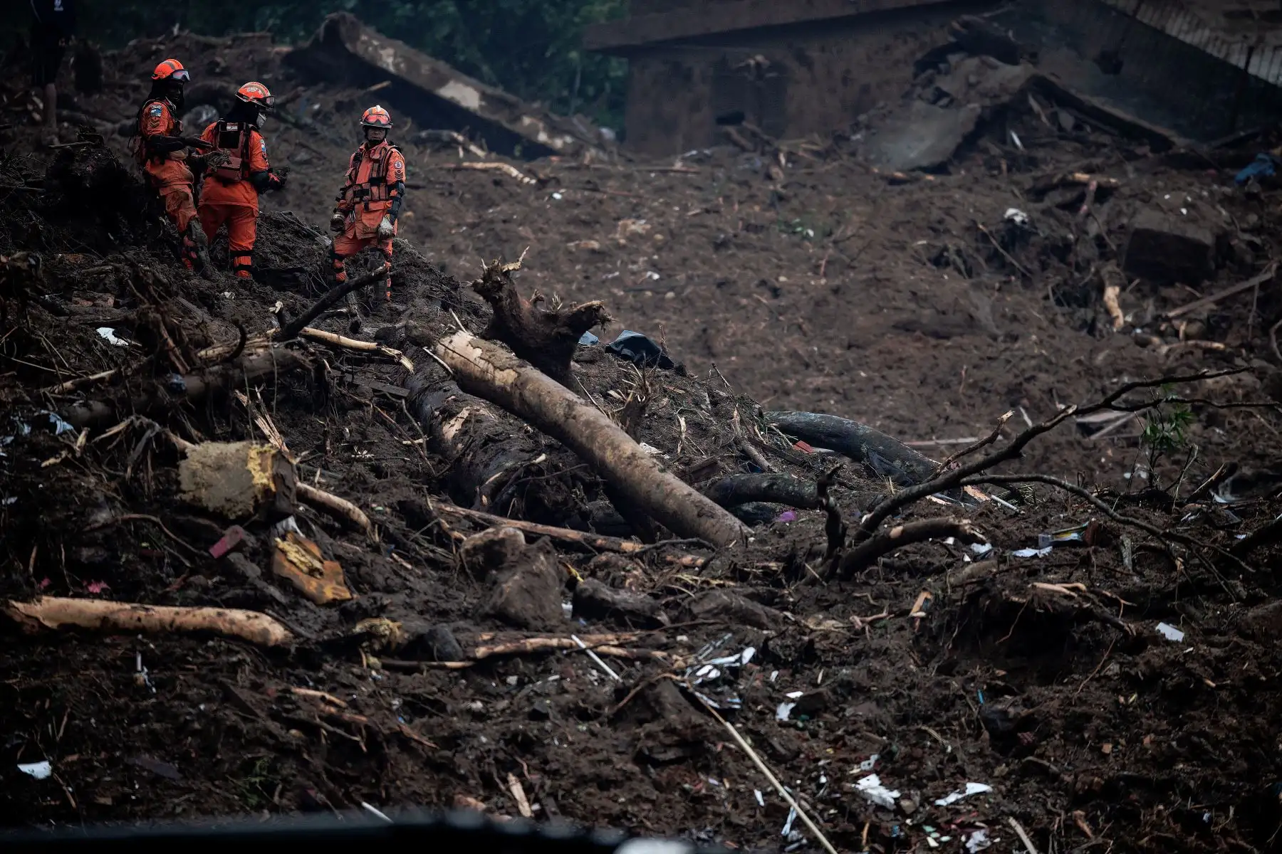 Miembros del equipo de rescate de los servicios de bomberos, buscan sobrevivientes junto a un perro, después de un deslizamiento de tierra en Petrópolis, Brasil. Foto: AFP