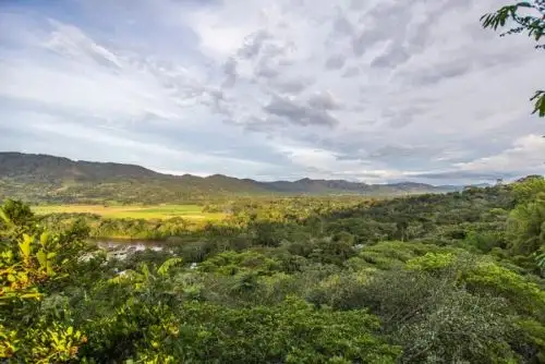 El Servicio Nacional Forestal y de Fauna Silvestre  mejorará la capacidad operativa de las Autoridades Regionales Forestales y de Fauna Silvestre de los departamentos de Madre de Dios, Loreto, Ucayali y Cajamarca.