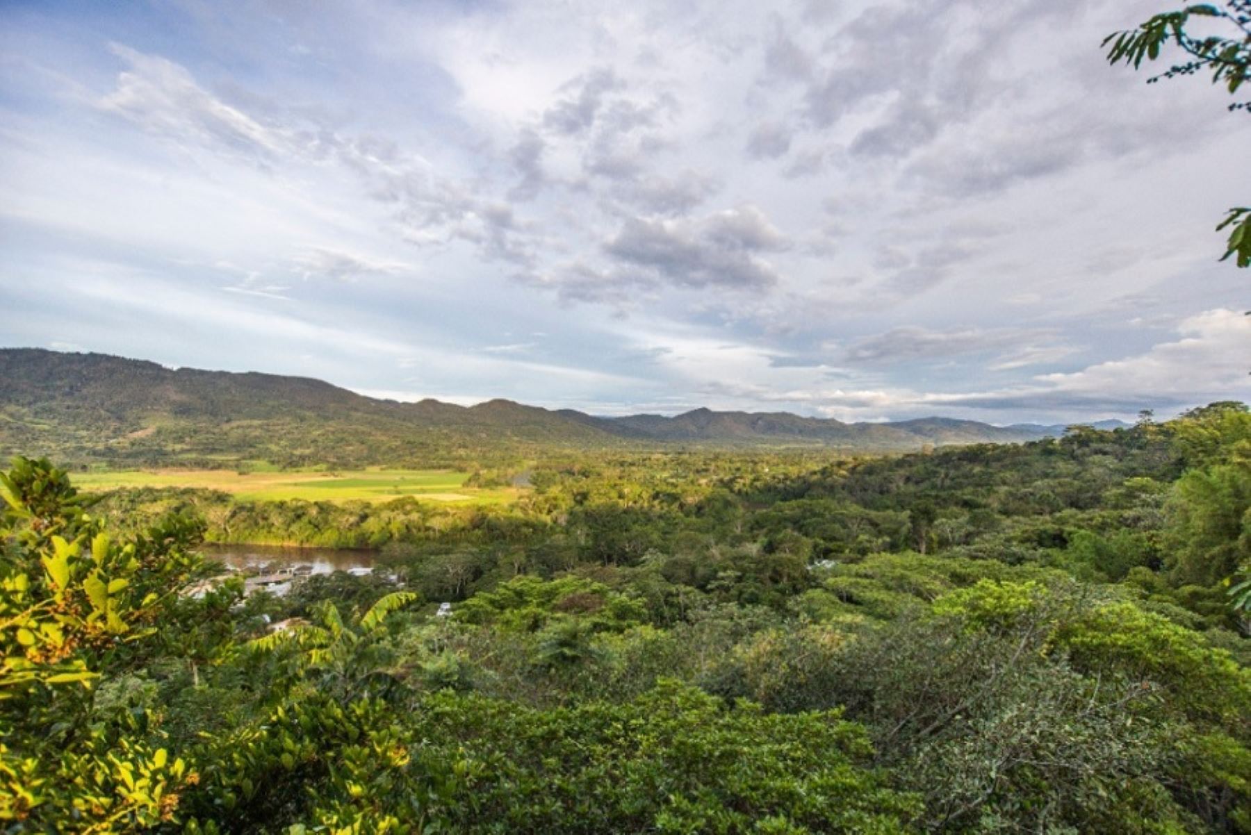 El Servicio Nacional Forestal y de Fauna Silvestre  mejorará la capacidad operativa de las Autoridades Regionales Forestales y de Fauna Silvestre de los departamentos de Madre de Dios, Loreto, Ucayali y Cajamarca.