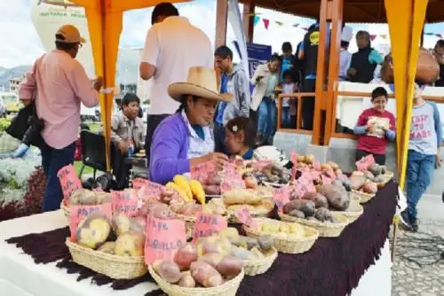 Alrededor de 60 productores, empresarios y organizaciones que se dedican al rubro de la agroindustria, gastronomía y artesanía participarán en el evento.