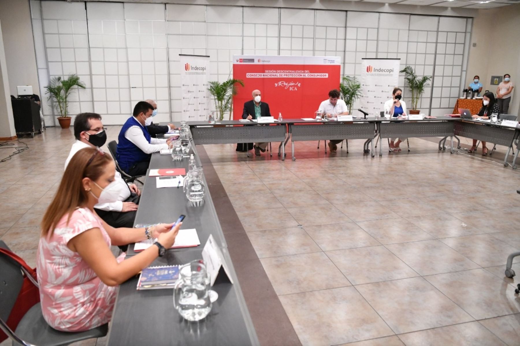 Primera sesión descentralizada del Consejo Nacional de Protección del Consumidor (CNPC) 2022, realizada en la región Ica. Foto: cortesía.