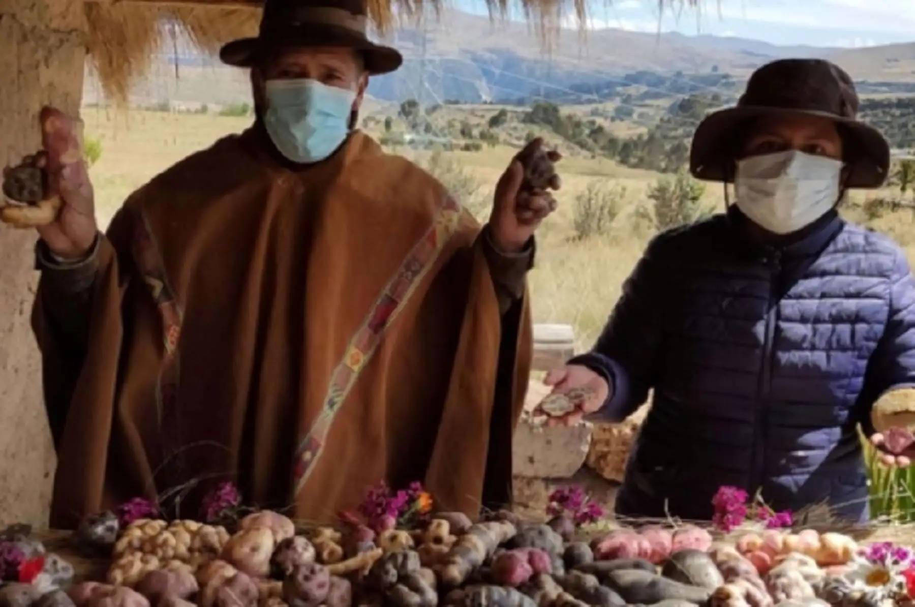 El Ministerio del Ambiente, a través del proyecto GEF Agrobiodiversidad SIPAM II, capacitó a 31 profesionales, entre funcionarios de los sectores involucrados y representantes de los gobiernos regionales de Arequipa, Apurímac, Cusco, Huancavelica y Puno, en temas sobre conservación y uso de los recursos genéticos en la sierra sur del Perú.