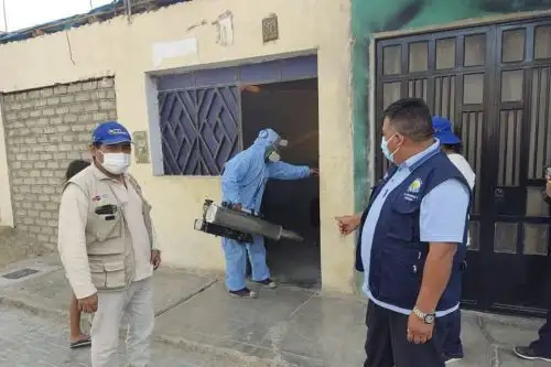 Se estima que el vector "Aedes aegypti", transmisor de la enfermedad, haya afectado a unas 12,000 viviendas en la provincia de Casma. Foto: ANDINA/difusión.