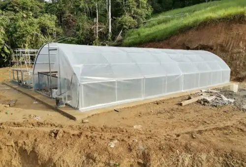 En la región Amazonas se concluyó el montaje de las nuevas instalaciones para el secado de cacao de la Cooperativa Yakatheo, como parte de los proyectos de “Consolidación de la cadena de valor de cacao y plátano en comunidades nativas de los distritos de Imaza, en la provincia de Bagua, y Nieva de la provincia de Condorcanqui”.