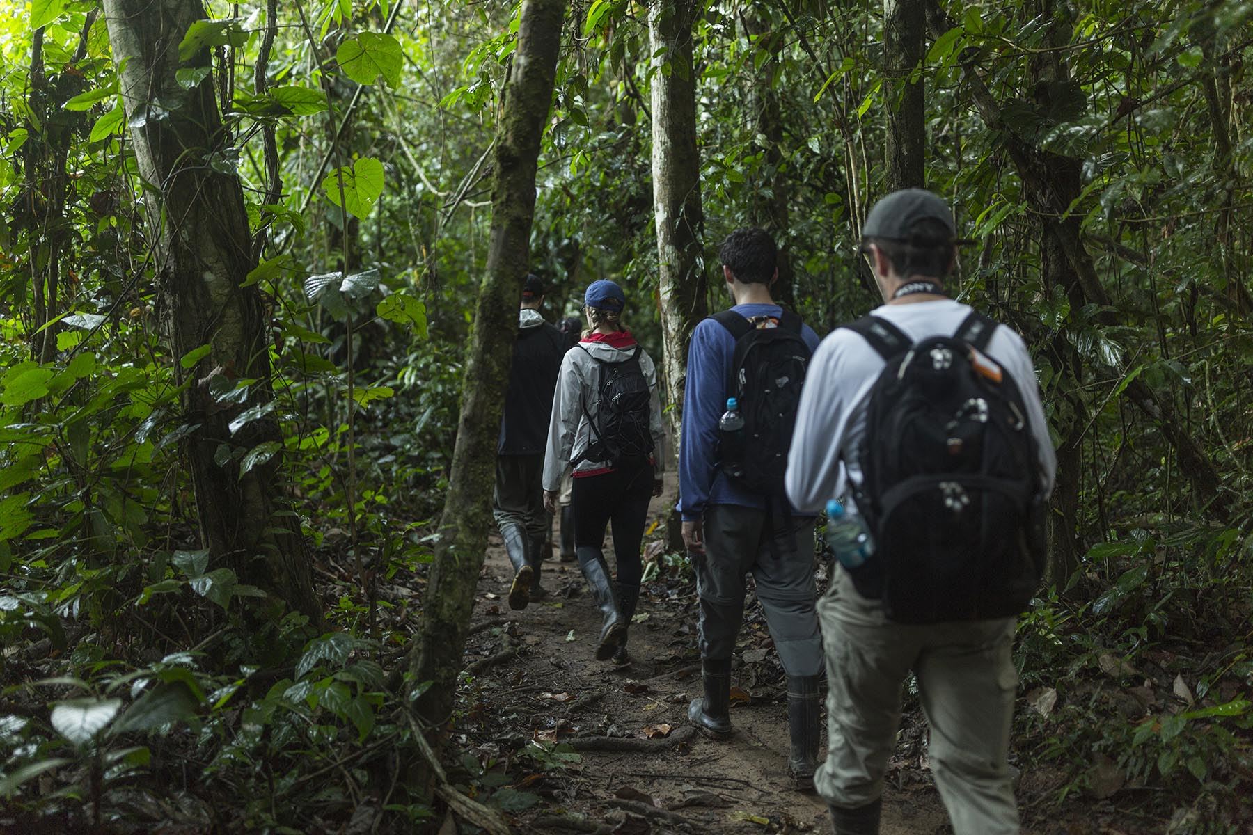 La tercera propuesta finalista está liderada por Rainforest Expeditions, a través de su proyecto Wired Amazon, que busca obtener conocimientos sobre la fauna y proteger el medio ambiente en zonas como la Reserva Nacional Tambopata y el Parque Nacional Bahuaja Sonene.