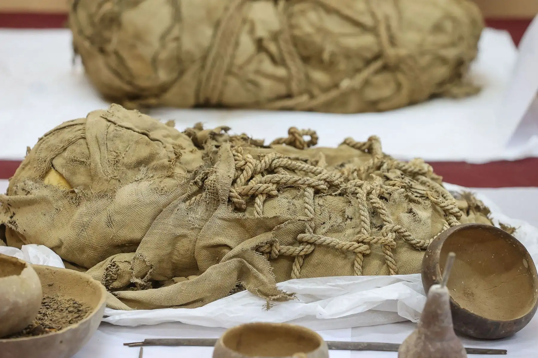 Investigadores  sanmarquinos Peater Van Dalen y Yomira Huamán Santillán, arqueólogos encargados del proyecto arqueológico de Cajamarquilla, presentarán y explicarán la relevancia de este importante hallazgo.
Foto: ANDINA/ Andrés Valle