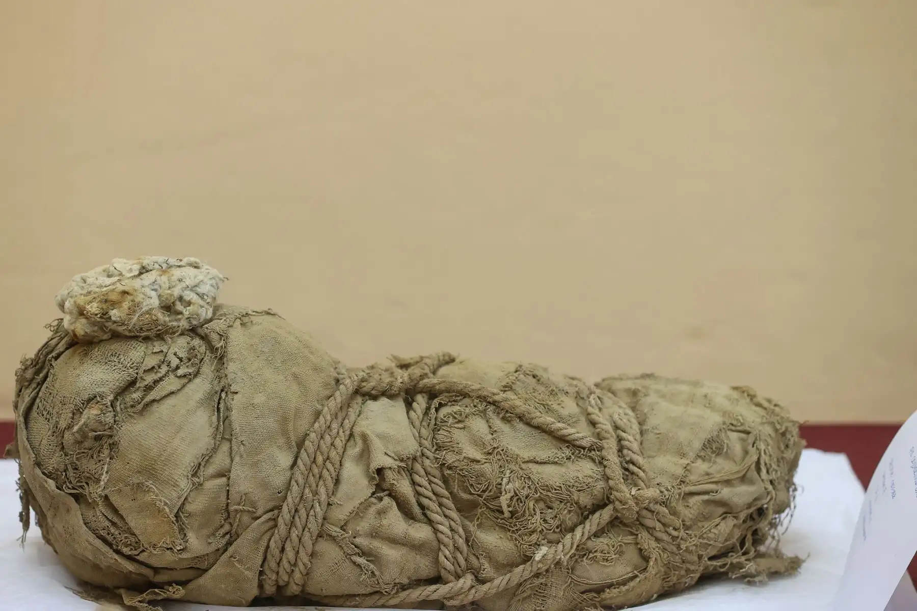 Investigadores  sanmarquinos Peater Van Dalen y Yomira Huamán Santillán, arqueólogos encargados del proyecto arqueológico de Cajamarquilla, presentarán y explicarán la relevancia de este importante hallazgo.
Foto: ANDINA/ Andrés Valle