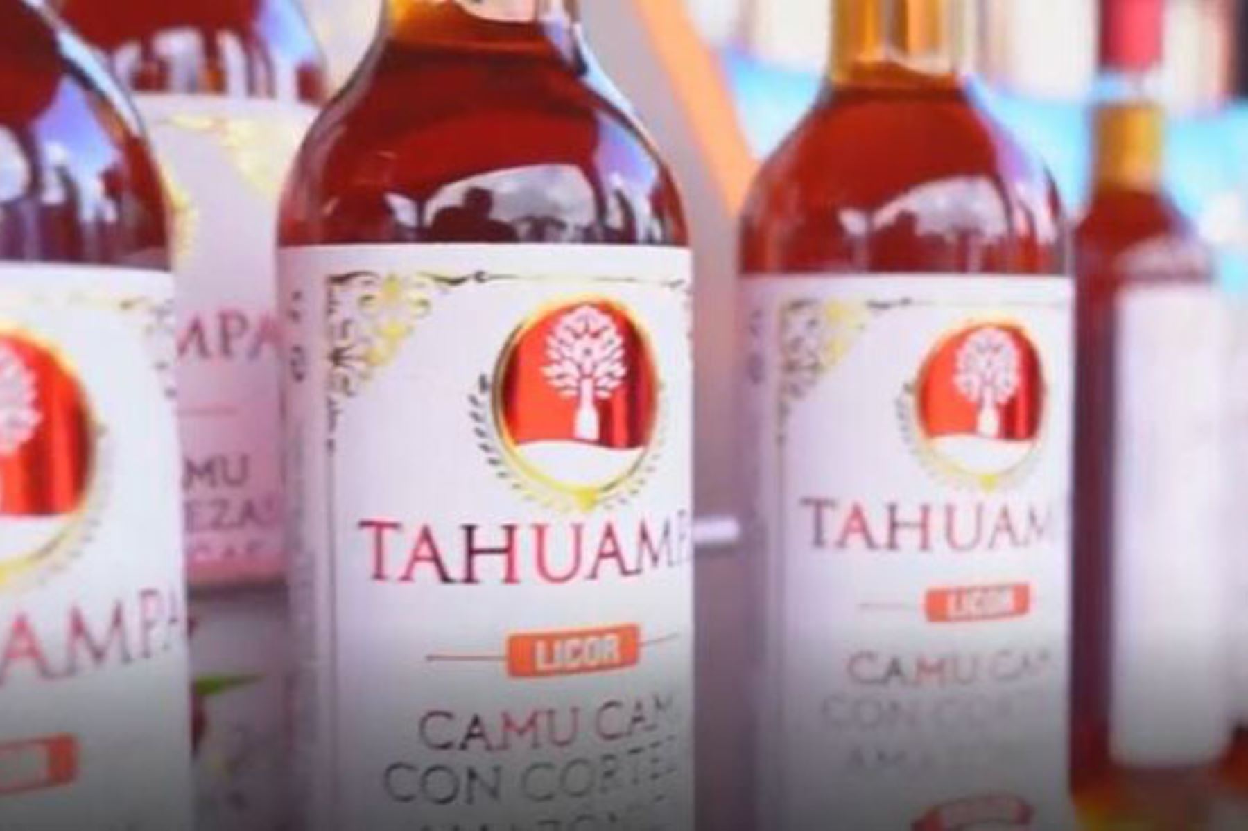 Con el soporte del  CITEproductivo Maynas, la empresa Tahuampa produce licor de camu camu con corteza amazónica. Foto: ANDINA/Difusión