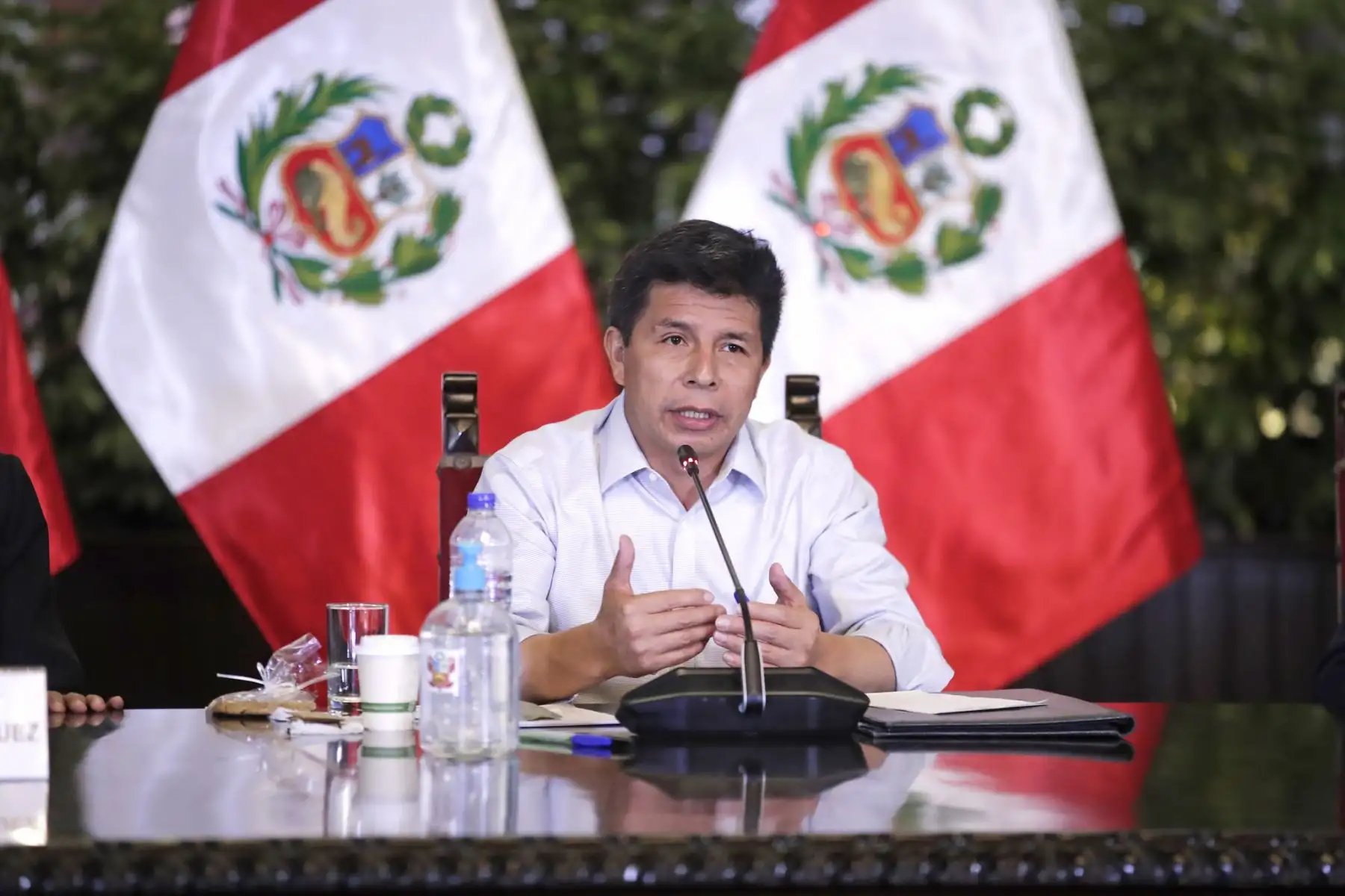 ANDINA/Prensa Presidencia
