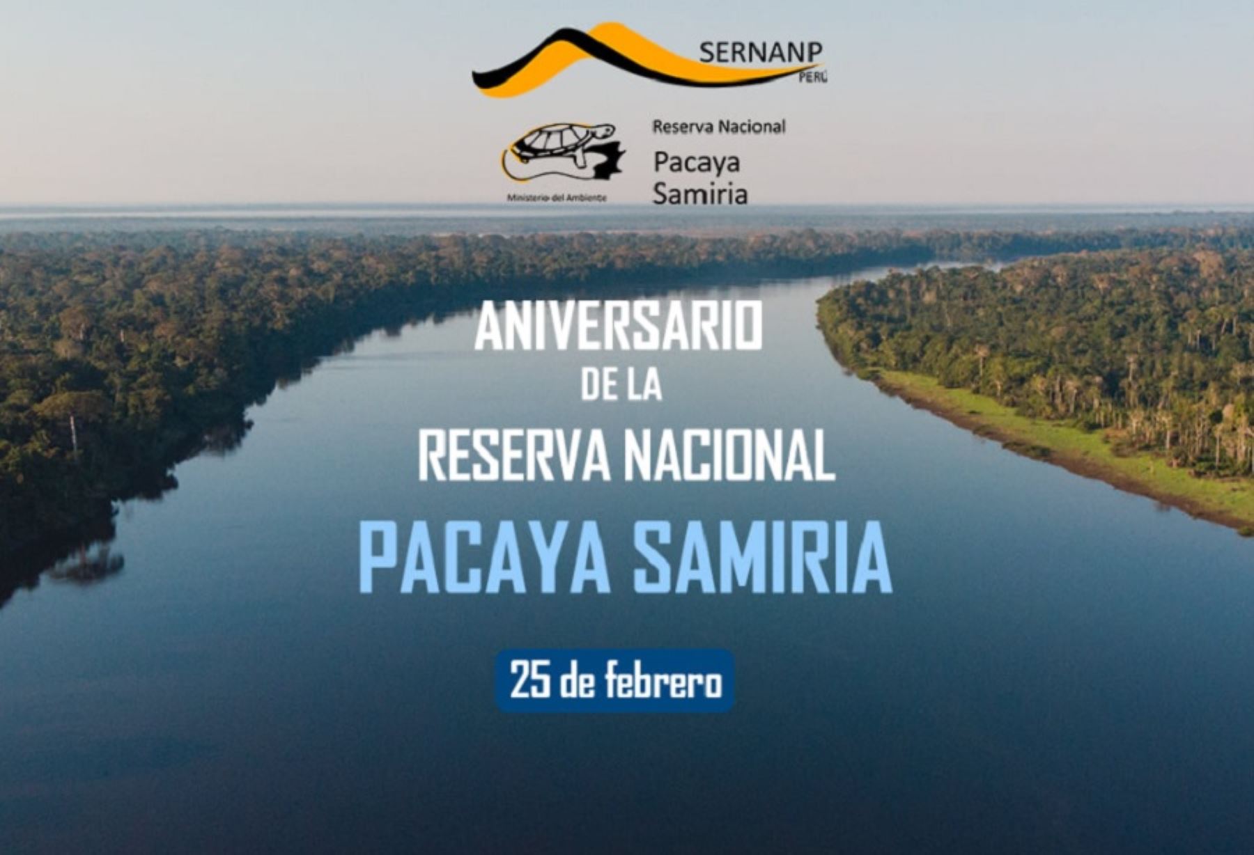 Ubicada en la región Loreto y con una extensión de 2 millones 80 000 hectáreas, Pacaya Samiria es la segunda área natural protegida más grande del Perú.
