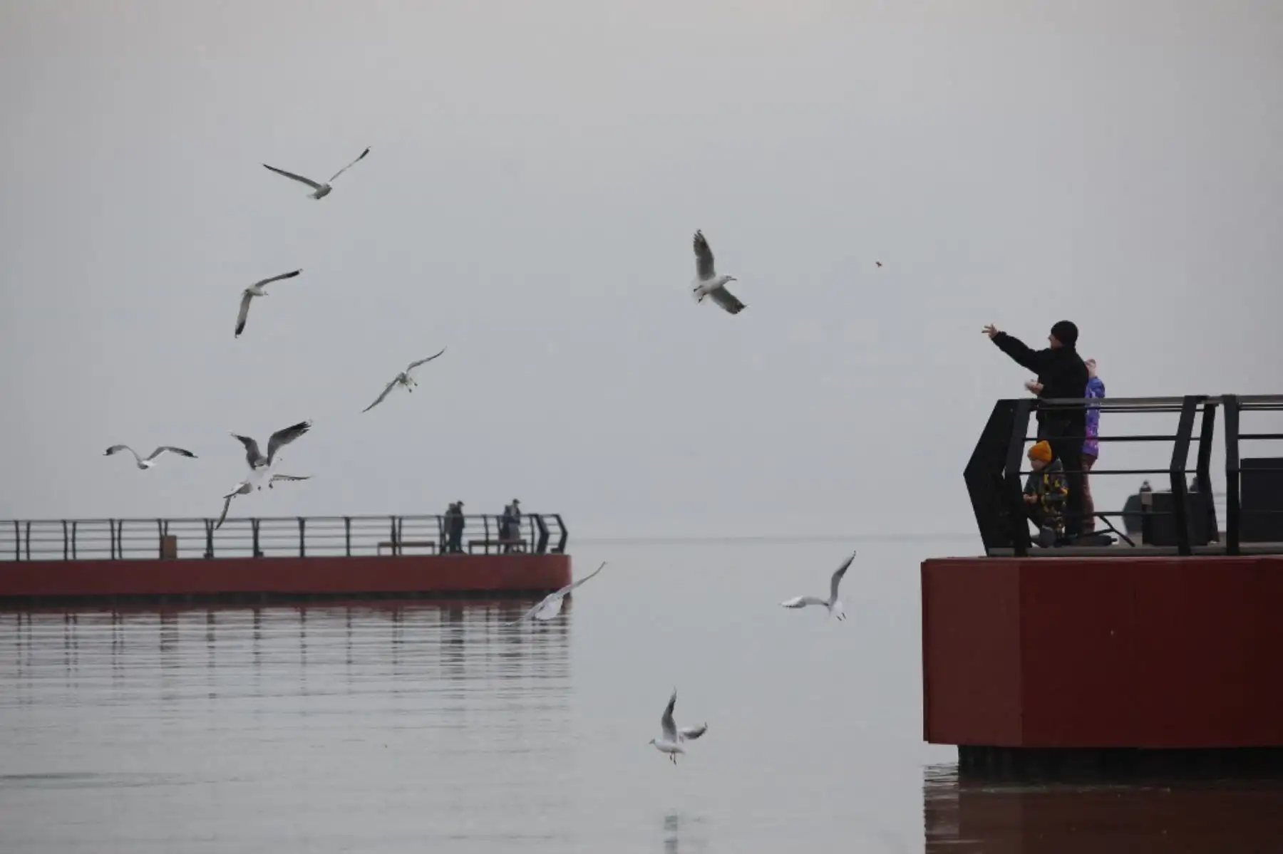 Una familia alimenta a las gaviotas en la costa del Mar de Azov en la ciudad portuaria industrial de Mariupol en Ucrania el 23 de febrero de 2022. Foto: AFP