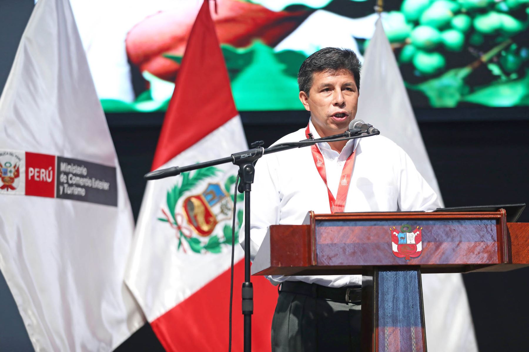 Presidente Pedro Castillo, participa en la ceremonia de presentación de los resultados de las exportaciones peruanas durante el 2021, año en que se logró un récord al sumar 56,241 millones de dólares. Foto: ANDINA/ Prensa Presidencia