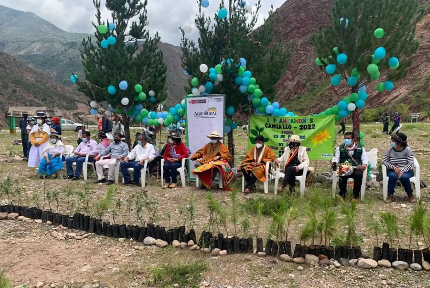 La siembra de estos 2,000 plantones forestales de pino patula en la región Ayacucho reducirá ostensiblemente las zonas erosionadas, desérticas y suelos pobres, erosionados por las lluvias en este distrito.